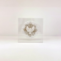 Alternative view of Divino Espirito Santo