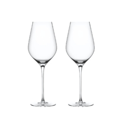 Set 02 Taças Champagne