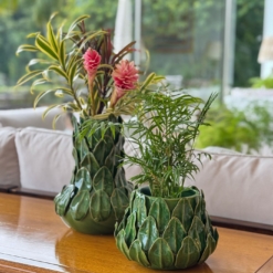 Alternative view of Vaso Calathea M