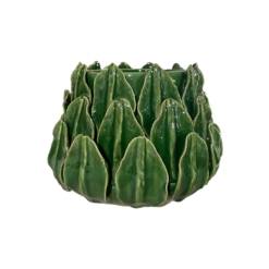 Vaso Calathea M
