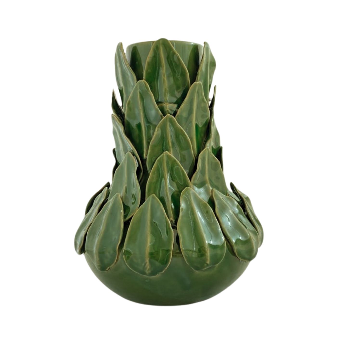 Vaso Calathea G